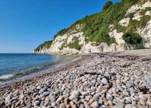 Somerset swimming holiday