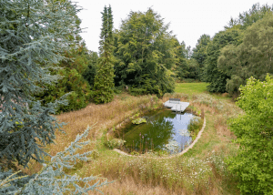 Natural swimming pools